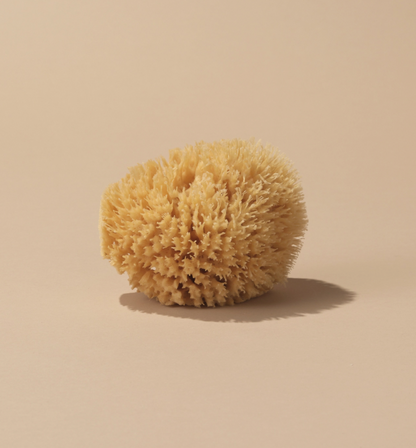 Wool Sea Sponge [4-5'']